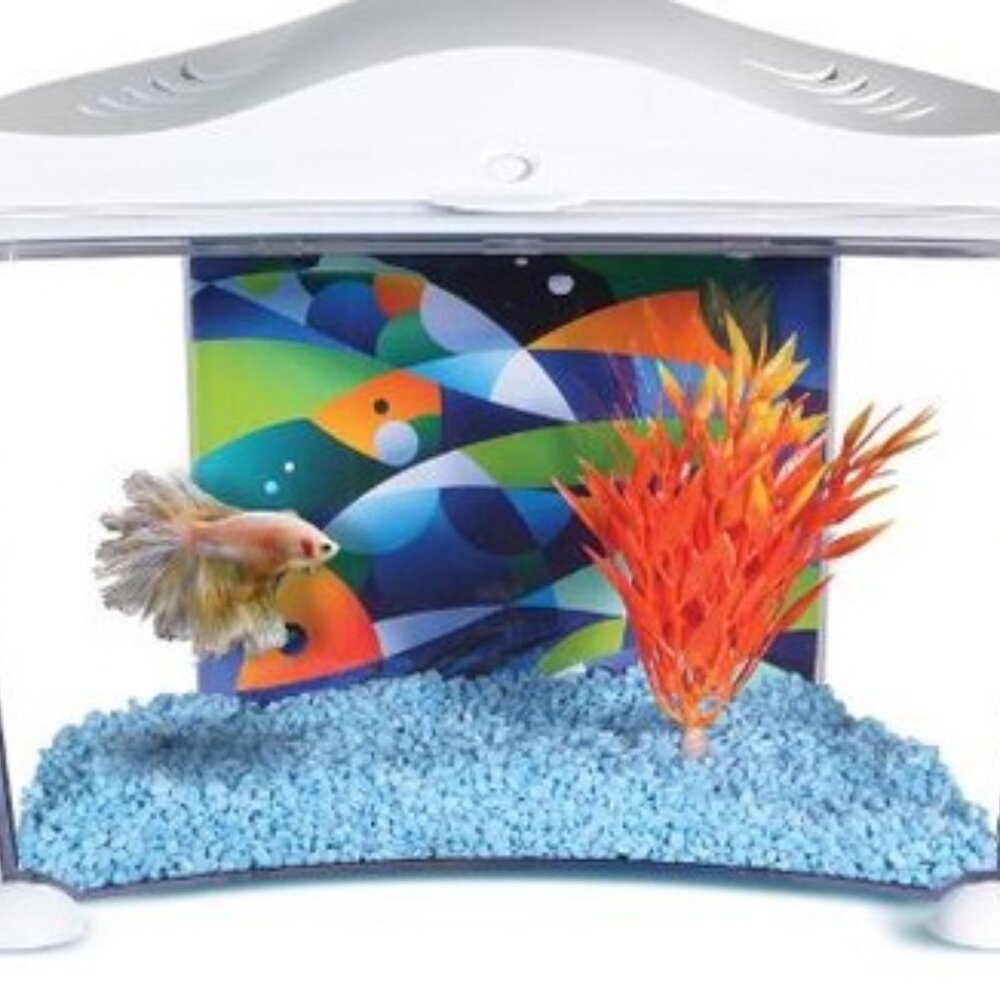 Marina Spacious Betta Home